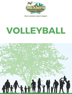 Volleyball Image